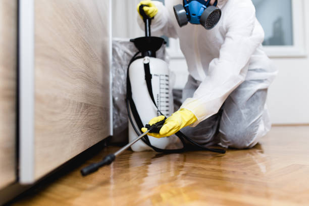 Flea Control Services in Baden, PA