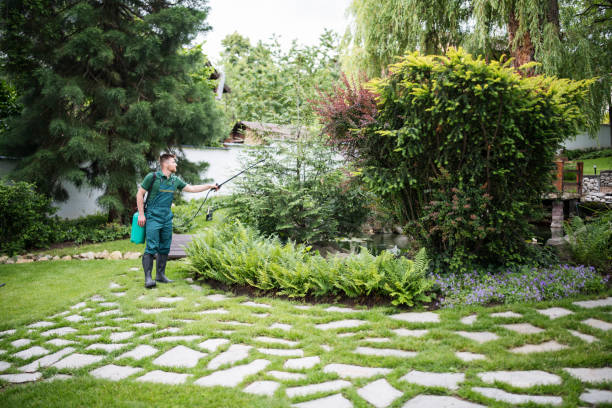 Best Local Pest Control Services  in Baden, PA