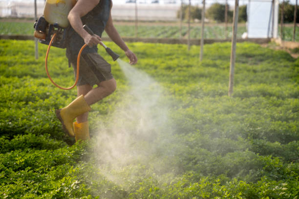 Best Residential Pest Control  in Baden, PA