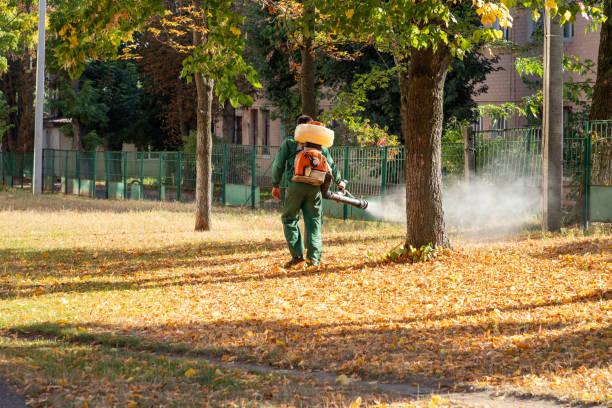 Best Flea Control Services  in Baden, PA