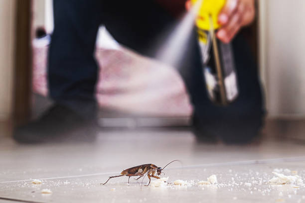 Best Pest Removal Services  in Baden, PA