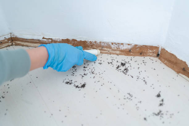Best Exterminator Services  in Baden, PA